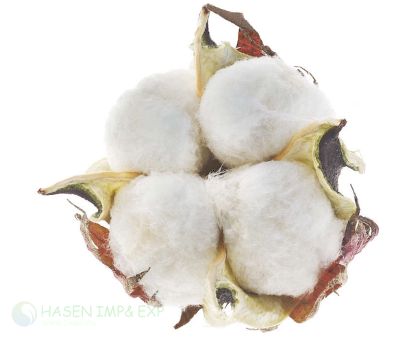 Cotton Seed Machine:www.immyhitech.com.png Cotton Seed Machine:www.immyhitech.com.png