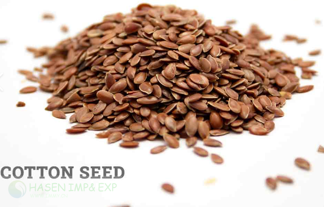 Cotton Seed Machine:www.immyhitech.com.png Cotton Seed Machine:www.immyhitech.com.png