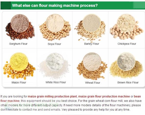 WuxiHasen FlourMill.jpg