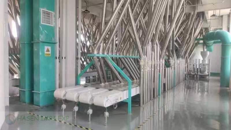 600TPD FLOUR MILL XINJIANG (5).jpg